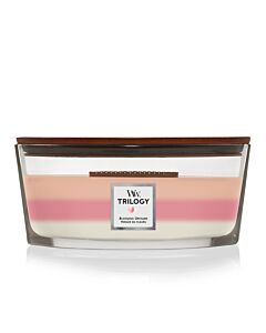 WoodWick Blooming Orchard Trilogy Ellipse Jar
